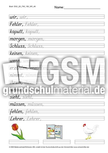 DSS_2S_FW_100_NR_48.pdf